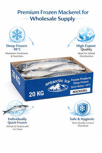 Frozen Whole Mackerel 20kg – Premium Raw Frozen Fish Box UK