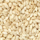 Whole Melon Seed