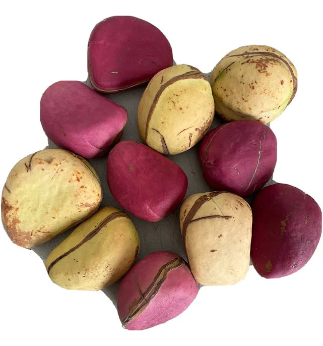 Kolanuts Organic - Obi Abata Oloju Meji Garcinia Kola 100g