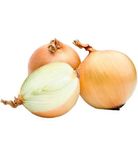 Spanish Onions bag
