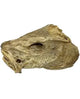 Stockfish Head 1kg
