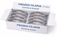 Frozen Tilapia Gutted & Scaled  (2 x Pack of 3) Large Box