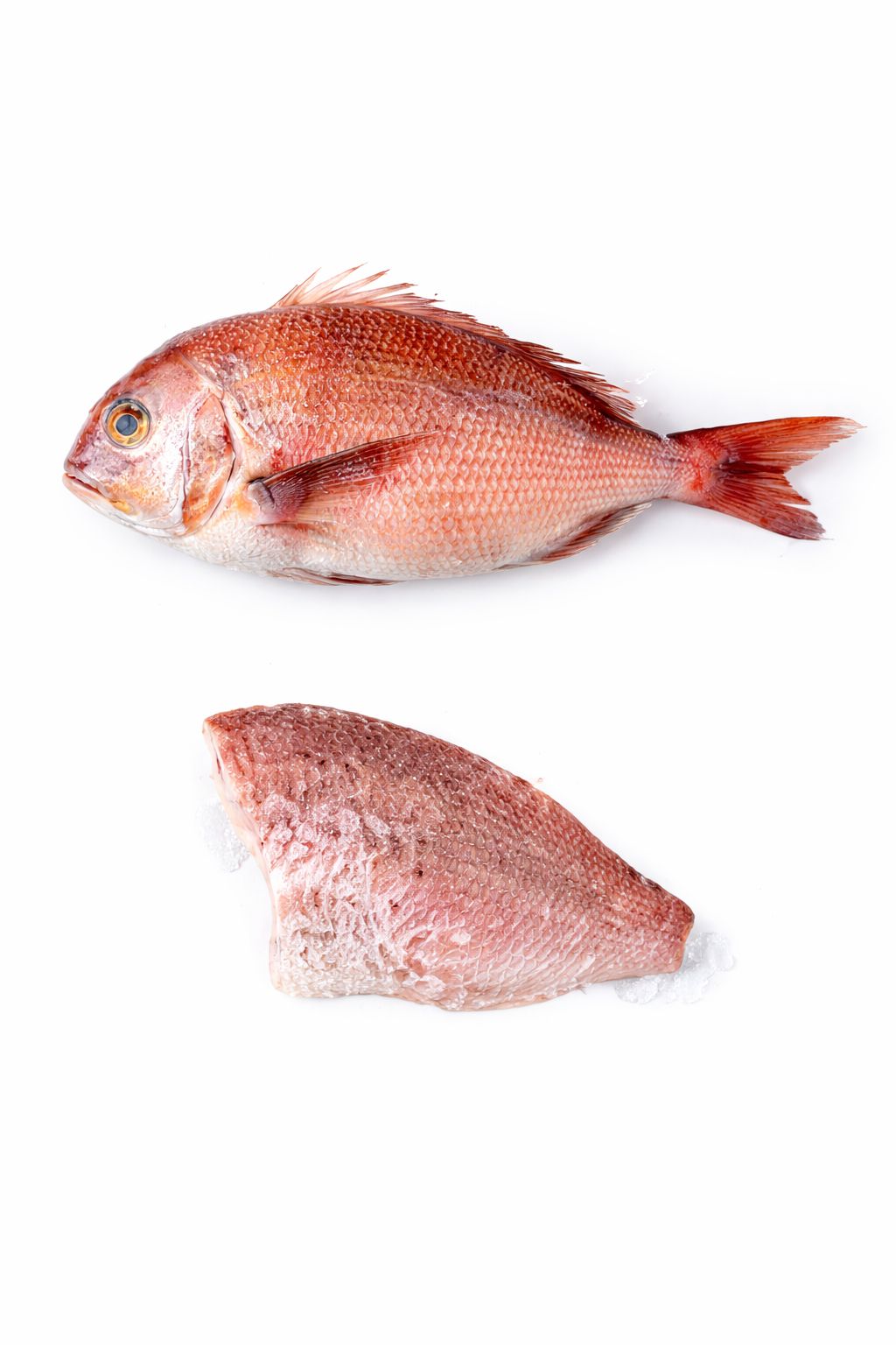 Frozen Red Bream Fish 2kg – Whole Raw Sea Bream UK